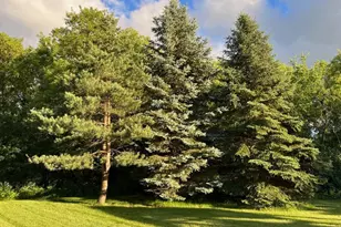 925 Sadies Ln, Hudson, WI 54016 - Photo 15