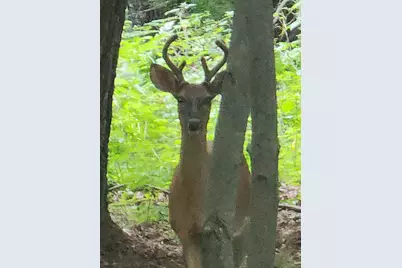 N8924 610th Street, Colfax, WI 54730 - Photo 7