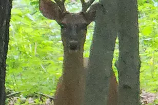 N8924 610th St, Colfax, WI 54730 - Photo 7