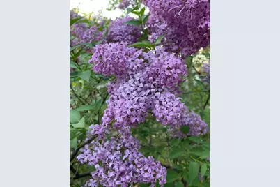 3424 Yosemite Avenue S, Saint Louis Park, MN 55416 - Photo 83