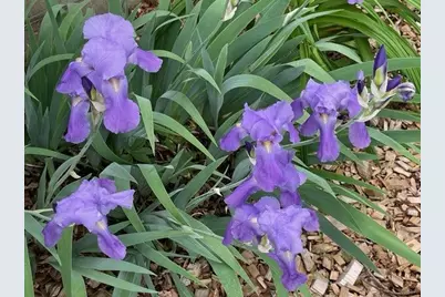 3424 Yosemite Avenue S, Saint Louis Park, MN 55416 - Photo 79