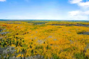 10000 River Rd, Brookston, MN 55736 - Photo 27