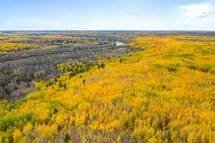 10000 River Rd, Brookston, MN 55736 - Photo 31