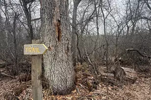 34290 Lanesboro Ct, North Branch, MN 55056 - Photo 75