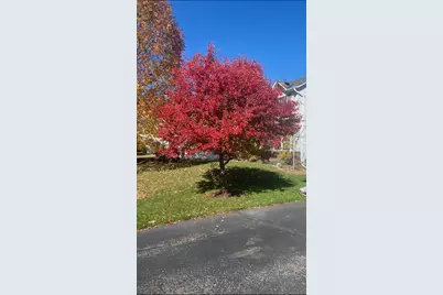 6785 Wildflower Drive S, Cottage Grove, MN 55016 - Photo 5