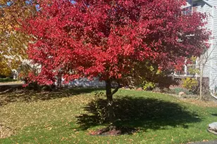 6785 Wildflower Dr S, Cottage Grove, MN 55016 - Photo 5