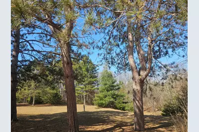 30284 N Nicaboyne Lake Road, Danbury, WI 54830 - Photo 11