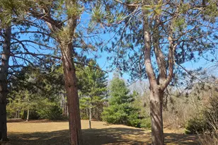 30284 N Nicaboyne Lake Rd, Danbury, WI 54830 - Photo 11