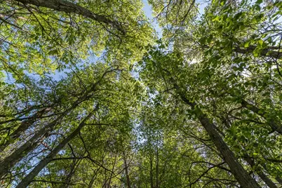Tbd Sorenson Lake Rd., Merrifield, MN 56465 - Photo 23