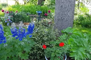 400 Mill St, Excelsior, MN 55331 - Photo 37