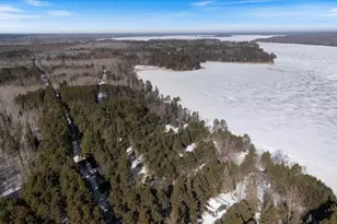 53406 Ormerods Shores Rd, Deer River, MN 56636 - Photo 43