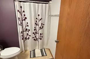 13820 Flay Ave N, Hugo, MN 55038 - Photo 7