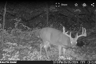 W12463 820th Ave, River Falls, WI 54022 - Photo 41