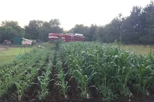 24410 188th St NW, Big Lake, MN 55309 - Photo 59