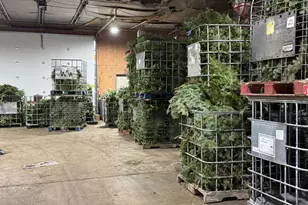 2585 State 200 NE, Remer, MN 56672 - Photo 85