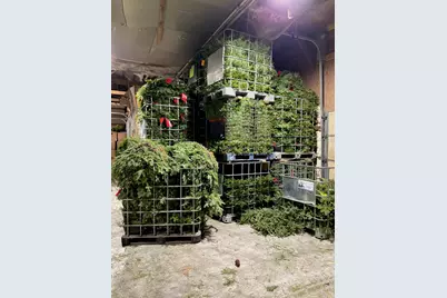 2585 State 200 NE, Remer, MN 56672 - Photo 77