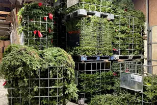 2585 State 200 NE, Remer, MN 56672 - Photo 77