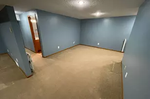 1458 Erickson Dr, Hastings, MN 55033 - Photo 37