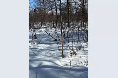 Tbd Arbor Road, Park Rapids, MN 56470 - Photo 11