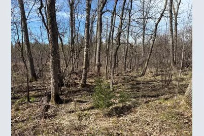 Tbd Arbor Road, Park Rapids, MN 56470 - Photo 27