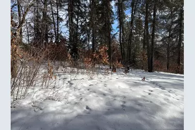 Tbd Arbor Road, Park Rapids, MN 56470 - Photo 5