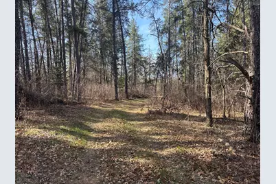 Tbd Arbor Road, Park Rapids, MN 56470 - Photo 5