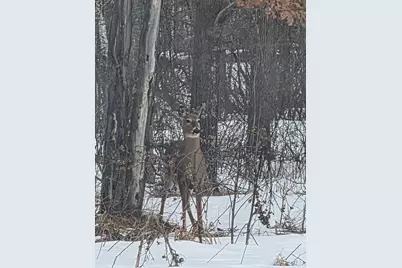 48270 Southfork Road, Hinckley, MN 55037 - Photo 25