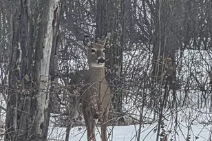 48270 Southfork Rd, Hinckley, MN 55037 - Photo 25