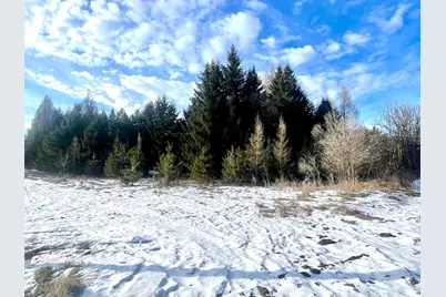 46.67 Acres 630th Street, Colfax, WI 54730 - Photo 1