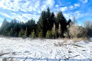 46 67 Acres 630th St, Colfax, WI 54730 - Photo 1