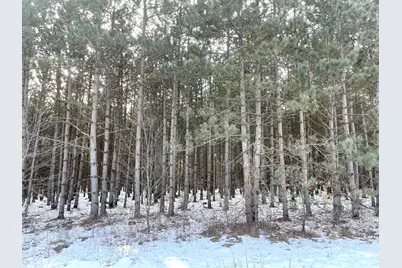 46.67 Acres 630th Street, Colfax, WI 54730 - Photo 3