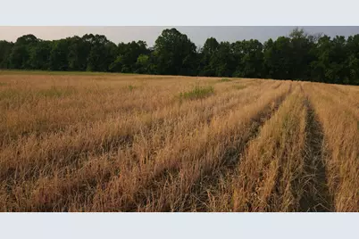 4251 115th Street SE, Delano, MN 55328 - Photo 53