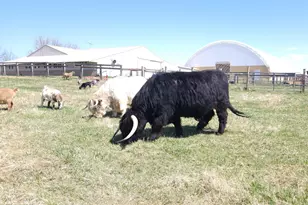 4251 115th St SE, Delano, MN 55328 - Photo 61