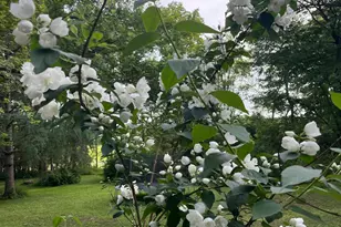 4676 Ozark Ave S, Afton, MN 55001 - Photo 35