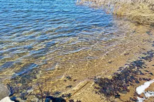 15144 64th St NW, Annandale, MN 55302 - Photo 5