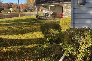 1893 Snelling Ave N, Falcon Heights, MN 55113 - Photo 53