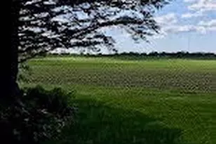 1893 Snelling Ave N, Falcon Heights, MN 55113 - Photo 51