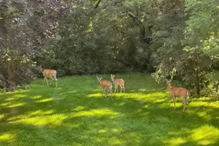 13445 190th Ave NW, Elk River, MN 55330 - Photo 37