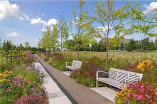 8139 Oakview Ln N, Maple Grove, MN 55369 - Photo 57