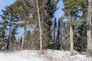 4477 Hitchcock Rd, Orr, MN 55771 - Photo 25