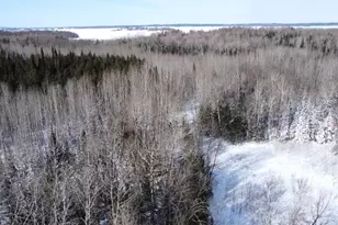 4477 Hitchcock Rd, Orr, MN 55771 - Photo 33