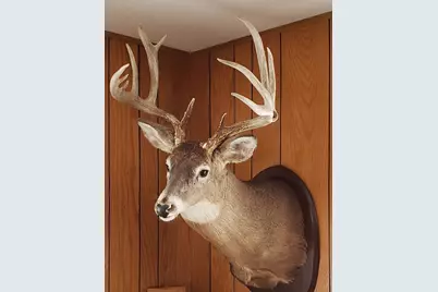 4477 Hitchcock Road, Orr, MN 55771 - Photo 27