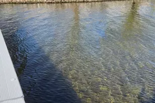 4524 Birchmont Dr NE, Bemidji, MN 56601 - Photo 7