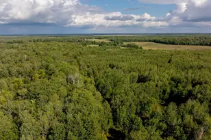 9149 Boy Lake Dr NE, Remer, MN 56672 - Photo 25