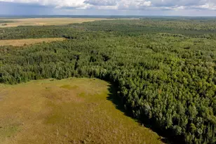 9149 Boy Lake Dr NE, Remer, MN 56672 - Photo 33