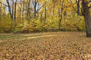 303 Heather Ln, Long Lake, MN 55356 - Photo 43