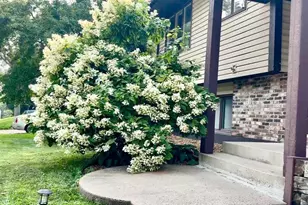 303 Heather Ln, Long Lake, MN 55356 - Photo 41