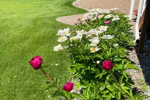 2265 Devin Ln, Long Lake, MN 55356 - Photo 51