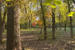 2265 Devin Ln, Long Lake, MN 55356 - Photo 49