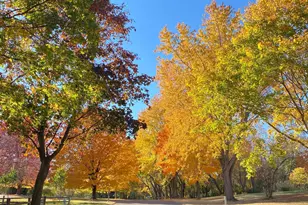 2265 Devin Ln, Long Lake, MN 55356 - Photo 43